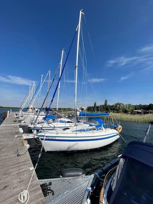 Haus Bernsteinsee Mit Goitzsche-Schnuppersegeln Friedersdorf  Eksteriør bilde